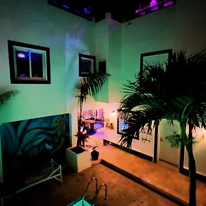 Hotel Tribe Jungle & Flamingo, Bayahíbe
